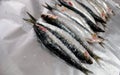 Fresh sardines with salt