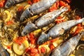 Fresh Sardines with vegetable on a plate Royalty Free Stock Photo