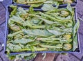 Fresh Sardinian spiny artichokes in a market. Top view Royalty Free Stock Photo