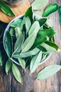 Fresh Sassafras Leaves in a Bowl