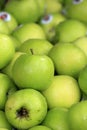 Fresh and Sauteed Green Apples