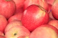 Fresh and Sauteed Red Apples