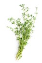 Fresh savory bunch Royalty Free Stock Photo