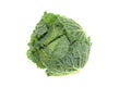 Fresh savoy cabbage Royalty Free Stock Photo