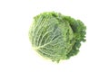 Fresh savoy cabbage Royalty Free Stock Photo