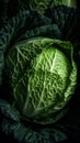 Fresh savoy cabbage, close-up, ai generation