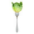 Fresh savoy cabbage on fork, 3D rendering