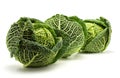 Fresh Savoy cabbage isolated on white