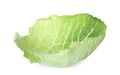 Fresh savoy cabbage leaf isolated on white Royalty Free Stock Photo