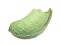 Fresh savoy cabbage leaf isolated Royalty Free Stock Photo