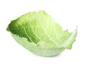 Fresh savoy cabbage leaf isolated Royalty Free Stock Photo