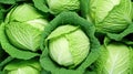 Fresh savoy cabbage in a market, closeup of green leaves