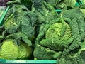 Fresh savoy cabbage. Ready for cooking.