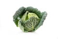 Fresh savoy cabbage Royalty Free Stock Photo