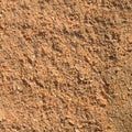 Fresh sawdust as background