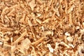 Fresh Sawdust Shavings Abstract