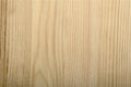 Fresh sawed pine-tree wood texture unpolished