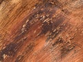 Fresh sawn red wood as background Royalty Free Stock Photo