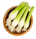Fresh scallion bulbs, group of green onions, in a wooden bowl