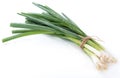 Fresh Scallions isolated on white Royalty Free Stock Photo