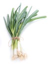 Fresh Scallions isolated on white Royalty Free Stock Photo