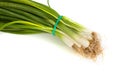 Fresh scallions isolated on white Royalty Free Stock Photo