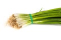 Fresh scallions isolated on white