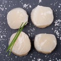 Fresh scallop Royalty Free Stock Photo