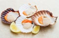 Fresh scallops group