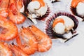 Fresh Scallops and Shrimps over Ice Royalty Free Stock Photo