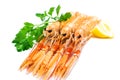 Fresh Scampi / Nephrops norvegicus Royalty Free Stock Photo