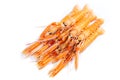 Fresh Scampi / Nephrops norvegicus Royalty Free Stock Photo