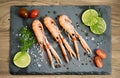 Fresh scampis on the black rock Royalty Free Stock Photo