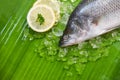 Fresh sea bass fish for cooking / Seafood raw seabass fish plate ocean gourmet on ice