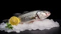 Fresh sea bass fish with lemon on ice. Sea bass fish. Generative Ai Royalty Free Stock Photo