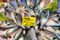 Fresh sea bream or dorado sea fish cupra at market