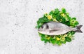 Fresh sea fish dorado on herbs and spices - preparing for cooking on white background. The concept of healthy food Royalty Free Stock Photo