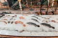 Fresh sea fish lies on ice in front of a restaurant in Thailand. Seafood selection, marine menu