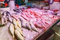 Fresh sea fish shopboard at a market place
