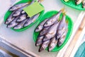 Fresh sea fishe on dish with iced in foam box on shelf of seafood shop, the tsukiji fish market, japan