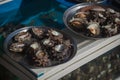 Fresh sea-shells collected by Haenyeo female divers; UNESCO Intangible Cultural Heritage list, in 2016 in Jeju Island, South