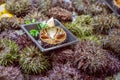 Fresh sea urchin caviar in half shells at the fish market