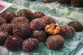 Fresh Sea Urchin sashimi sold inside the Kuromon Market in Osaka