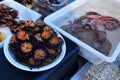Fresh sea urchins ricci di mare and octopus