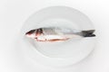 Fresh seabass Royalty Free Stock Photo