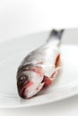 Fresh seabass Royalty Free Stock Photo