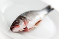 Fresh seabass Royalty Free Stock Photo