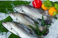 Fresh Seabass and vegetables Royalty Free Stock Photo