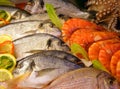 Fresh seafood Royalty Free Stock Photo