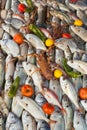 Fresh seafood background Royalty Free Stock Photo